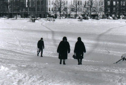 024932.jpg (25 kB)