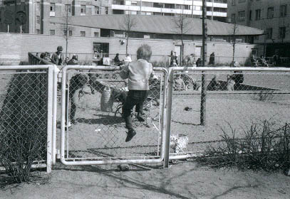 031209.jpg (35 kB)