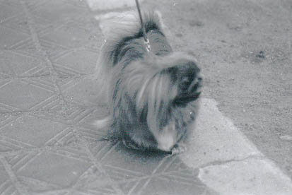 034436.jpg (17 kB)
