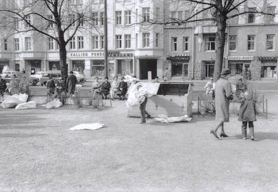 040535.jpg (29 kB)