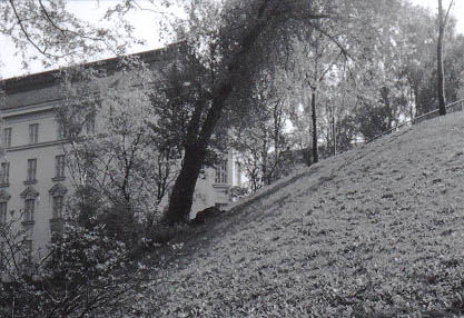 044032.jpg (40 kB)