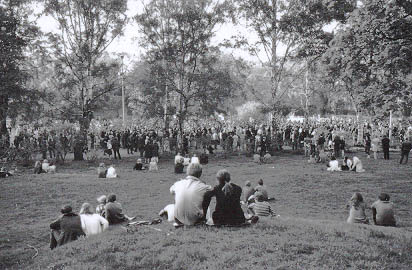 044523.jpg (41 kB)