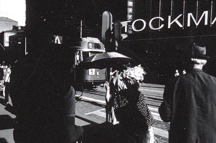 050331.jpg (30 kB)