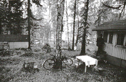 091643.jpg (55 kB)