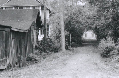 091841.jpg (30 kB)
