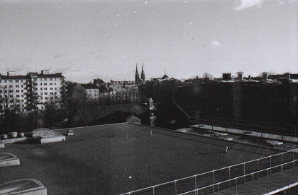 142604.jpg (19 kB)