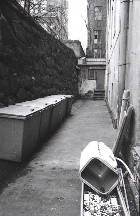 233519.jpg (28 kB)