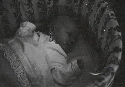 320229.jpg (19 kB)