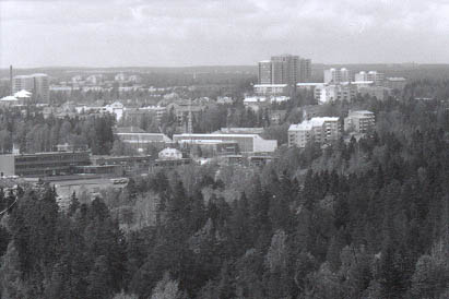 425733.jpg (21 kB)