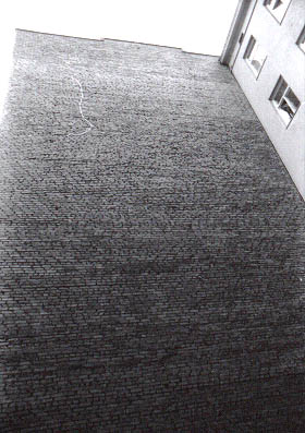 431833.jpg (32 kB)