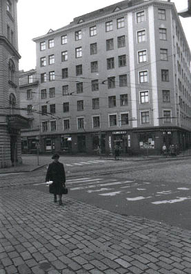 441403.jpg (27 kB)