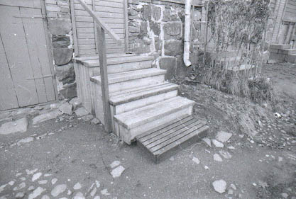 525533.jpg (31 kB)