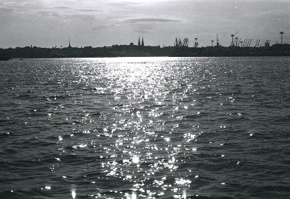570314.jpg (34 kB)