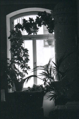 753436.jpg (23 kB)