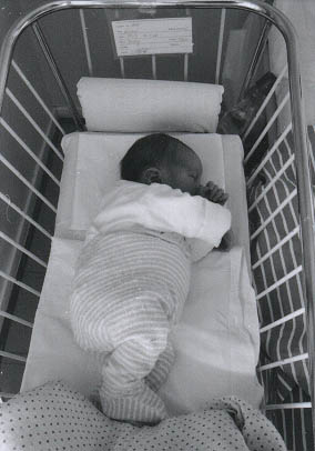 791720.jpg (23 kB)